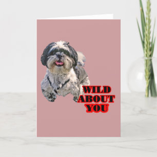 Cartão De Festividades Shih Tzu