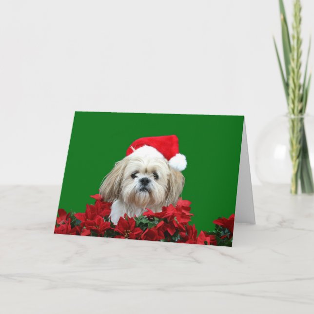Cartão De Festividades Shih Tzu  Christmas (Frente)