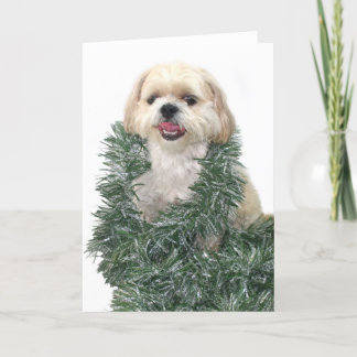 Cartão De Festividades Shih Tzu Christmas