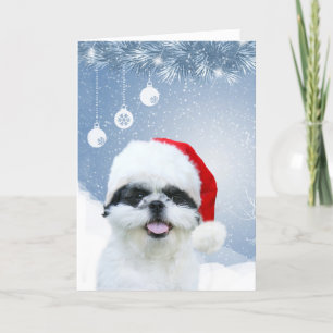 Cartão De Festividades Shih Tzu Christmas