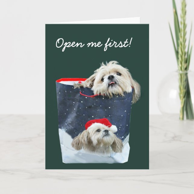 Cartão De Festividades Shih Tzu Christmas gift (Frente)