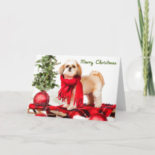 Cartão De Festividades Shih Tzu (clipped coat) Christmas Card