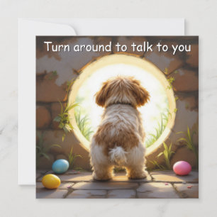Cartão De Festividades Shih Tzu dog - com Nome da Família