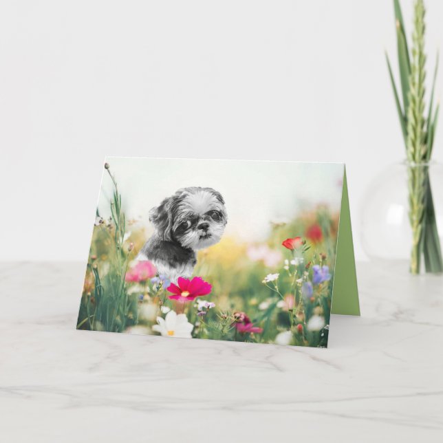 Cartão De Festividades Shih Tzu Girl and Flower Field Greeting Card (Frente)