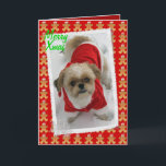 Cartão De Festividades shih tzu lhasa tzu cute santa dog Christmas card<br><div class="desc">shih tzu lhasa tzu cute santa dog Christmas card, This beautiful shih-tzu or lhasa tzu dog looks great in his Santa puppy Christmas outfit. Happily smiling at the camera this cute puppy is enjoying his holiday playing in the snow. On a background of santa gingerbread men as a finishing touch...</div>