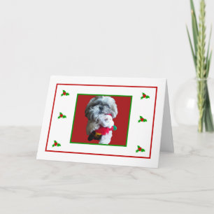 Cartão De Festividades Shih Tzu Merry Christmas Card