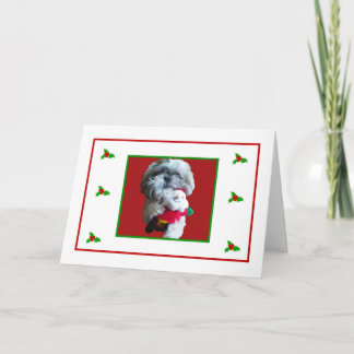 Cartão De Festividades Shih Tzu Merry Christmas Card