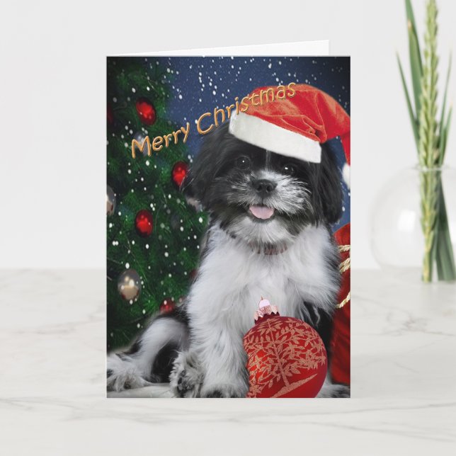 Cartão De Festividades Shih Tzu Merry Christmas Cards (Frente)