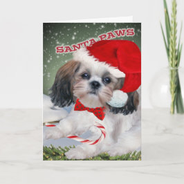 Cartão De Festividades Shih Tzu Papais noeis Paws