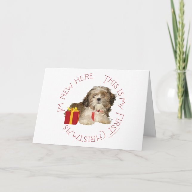 Cartão De Festividades Shih Tzu Puppy Primeiro Natal (Frente)