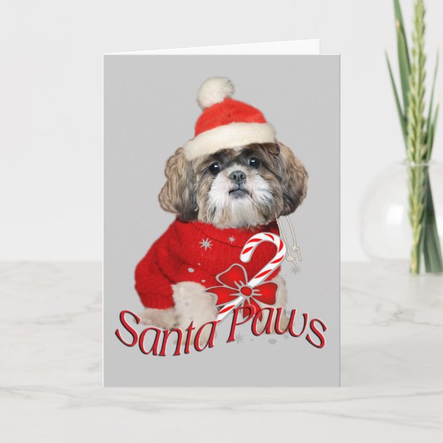 Cartão De Festividades Shih Tzu Santa Paws Cards (Frente)