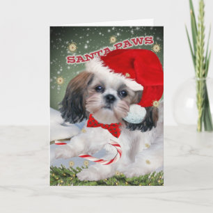 Cartão De Festividades Shih Tzu Santa Paws Christmas Cards