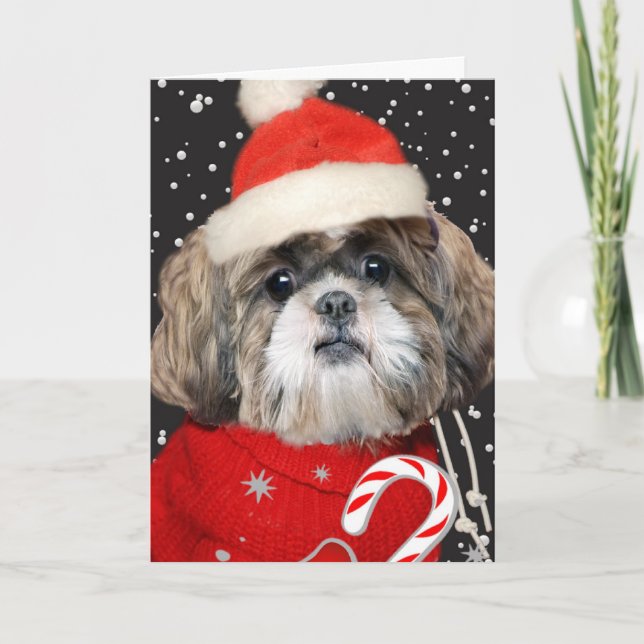Cartão De Festividades Shih Tzu Santa Portrait (Frente)