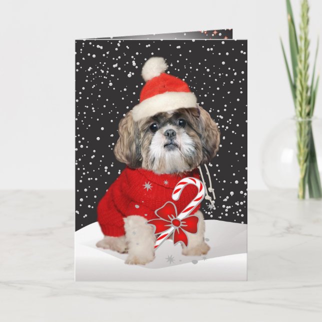 Cartão De Festividades Shih Tzu Santa Season Greetings Cards (Frente)