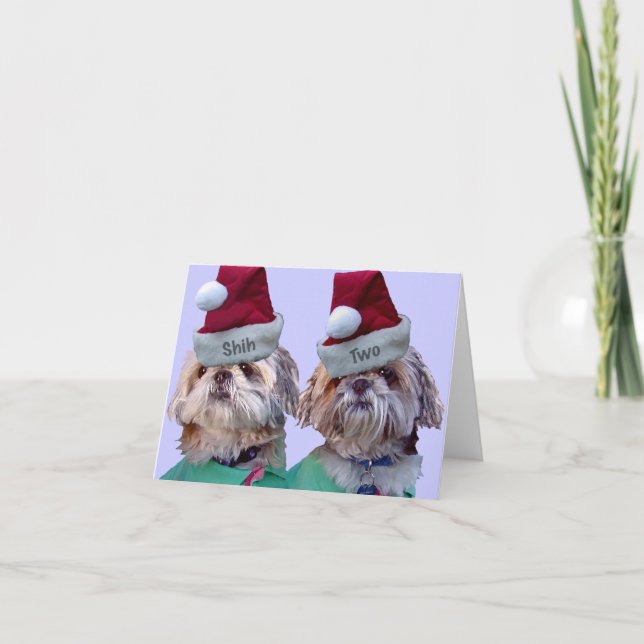 Cartão De Festividades Shih Tzu -Shih Two (Frente)