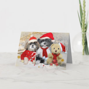 Cartão De Festividades Shih Tzu & Teddy Bear Xmas Card
