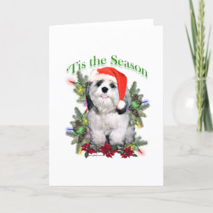 Cartão De Festividades Shih Tzu 'Tis the Season