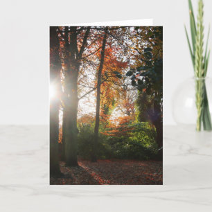 Cartão De Festividades Shining Light Greetings & Note Card