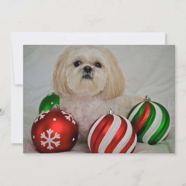 Cartão De Festividades Shiz Tzu com decoração de natal (Frente)