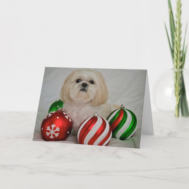 Cartão De Festividades Shiz Tzu com decoração de natal (Frente)