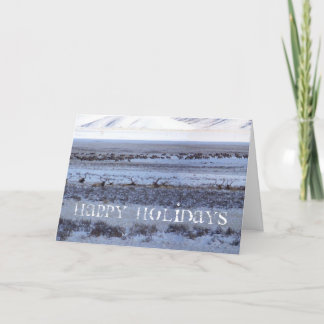 Cartão De Festividades Shootin' the