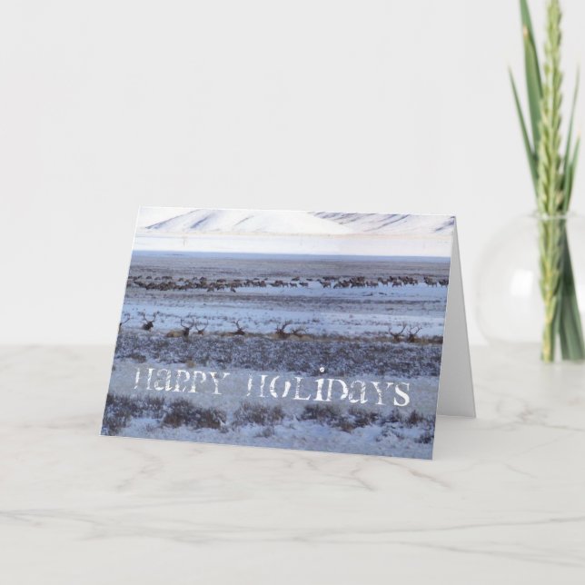 Cartão De Festividades Shootin' the   (Frente)