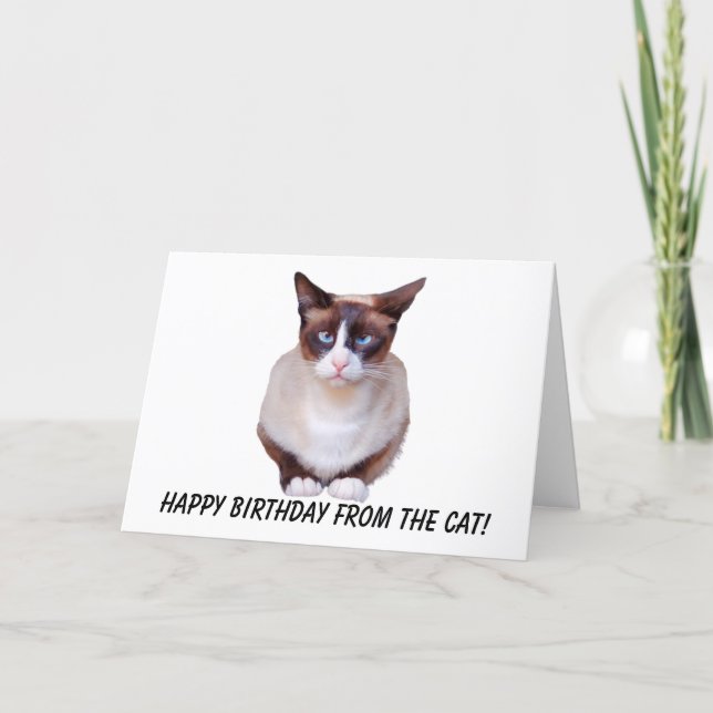 Cartão De Festividades Siamese Happy Birthday Card (Frente)