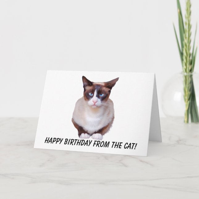 Cartão De Festividades Siamese Happy Birthday Card (Frente)