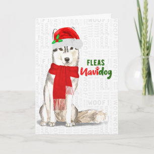 Cartão De Festividades Siberian Huskey Christmas Dog Fleas NaviDOG