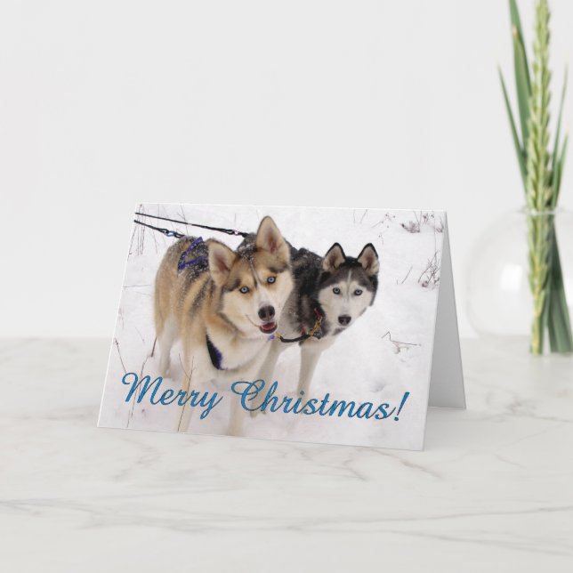 Cartão De Festividades Siberian Husky Christmas Card (Frente)