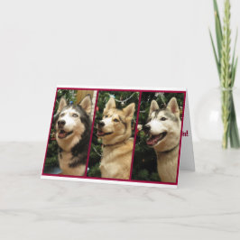 Cartão De Festividades Siberian Husky Christmas Holiday Card