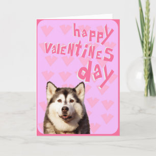Cartão De Festividades Siberian Husky Happy Valentine's Day Greeting Card
