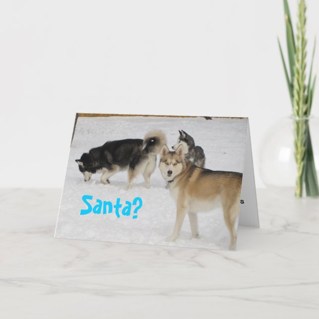 Cartão De Festividades Siberian Husky Holiday Christmas Card (Frente)