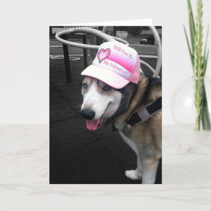 Cartão De Festividades Siberian Husky Valentine Card