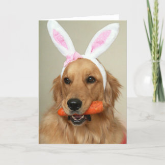 Cartão De Festividades SIlly Golden Retriever dog with Easter Bunny ears