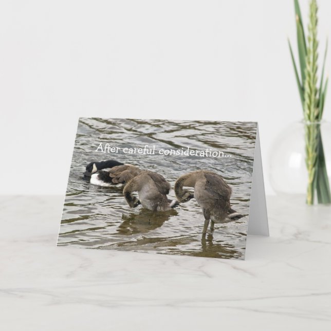 Cartão De Festividades Silly Goose Love (Frente)