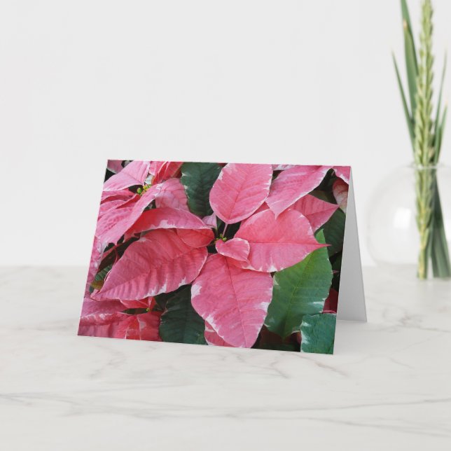 Cartão De Festividades Silver Star Marble Poinsettias Feriado Rosa Floral (Frente)