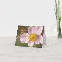 Simpatia Floral: Salm 119:50