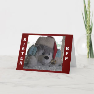 CARTÃO DE FESTIVIDADES SISTE-THIS HAPPY PUP SAYS SPECIAL CHRISTMAS WISHES