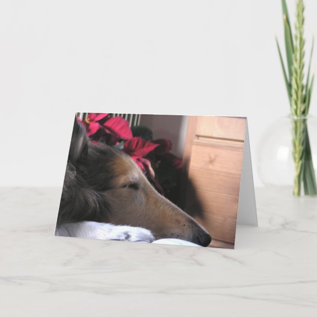 Cartão De Festividades Sleeping Collie Holiday Card (Frente)