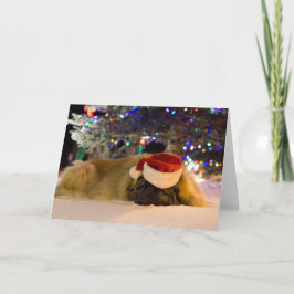Cartão De Festividades Sleeping Leonberger Christmas card