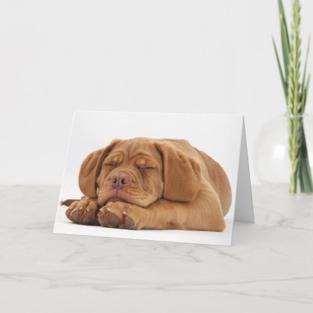 Cartão De Festividades Sleepy French Mastiff Puppy (Frente)