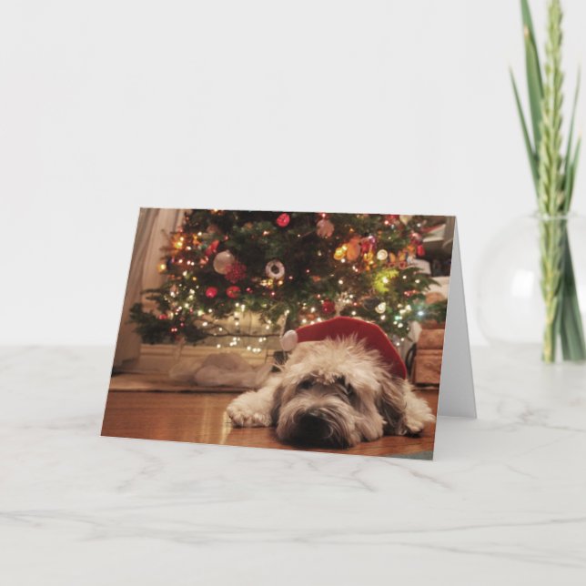 Cartão De Festividades Sleepy Santa (Frente)