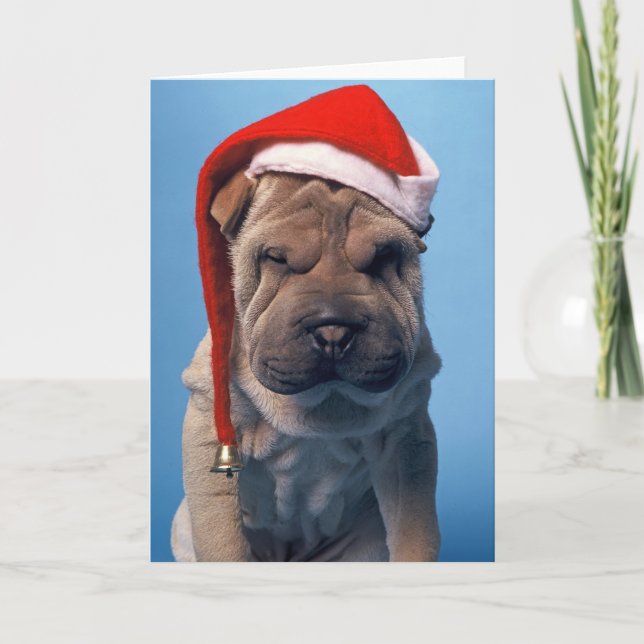 Cartão De Festividades Sleepy Shar Pei x mas Cão de Natal (Frente)