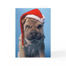 Sleepy Shar Pei x mas Cão de Natal