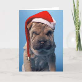 Cartão De Festividades Sleepy Shar Pei x mas Cão de Natal
