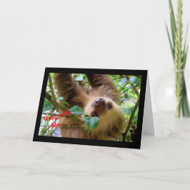 Cartão De Festividades Sloth Valentine's Day Card