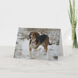 Cartão De Festividades Snow Beagle Winter Greeting Card - Hunting Hound