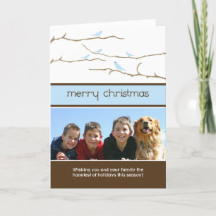 Cartão De Festividades Snow Birds Merry Christmas Holiday Card (blue)