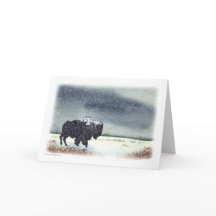 Snow Dusted Bison